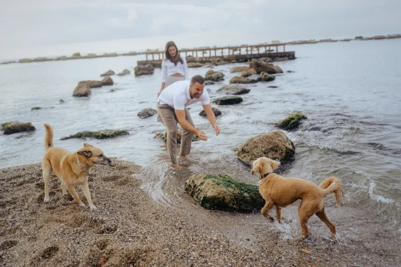 Couple enjoying a playful moment with their dogs on a rocky beach, captured during a couples & engagements photoshoot.