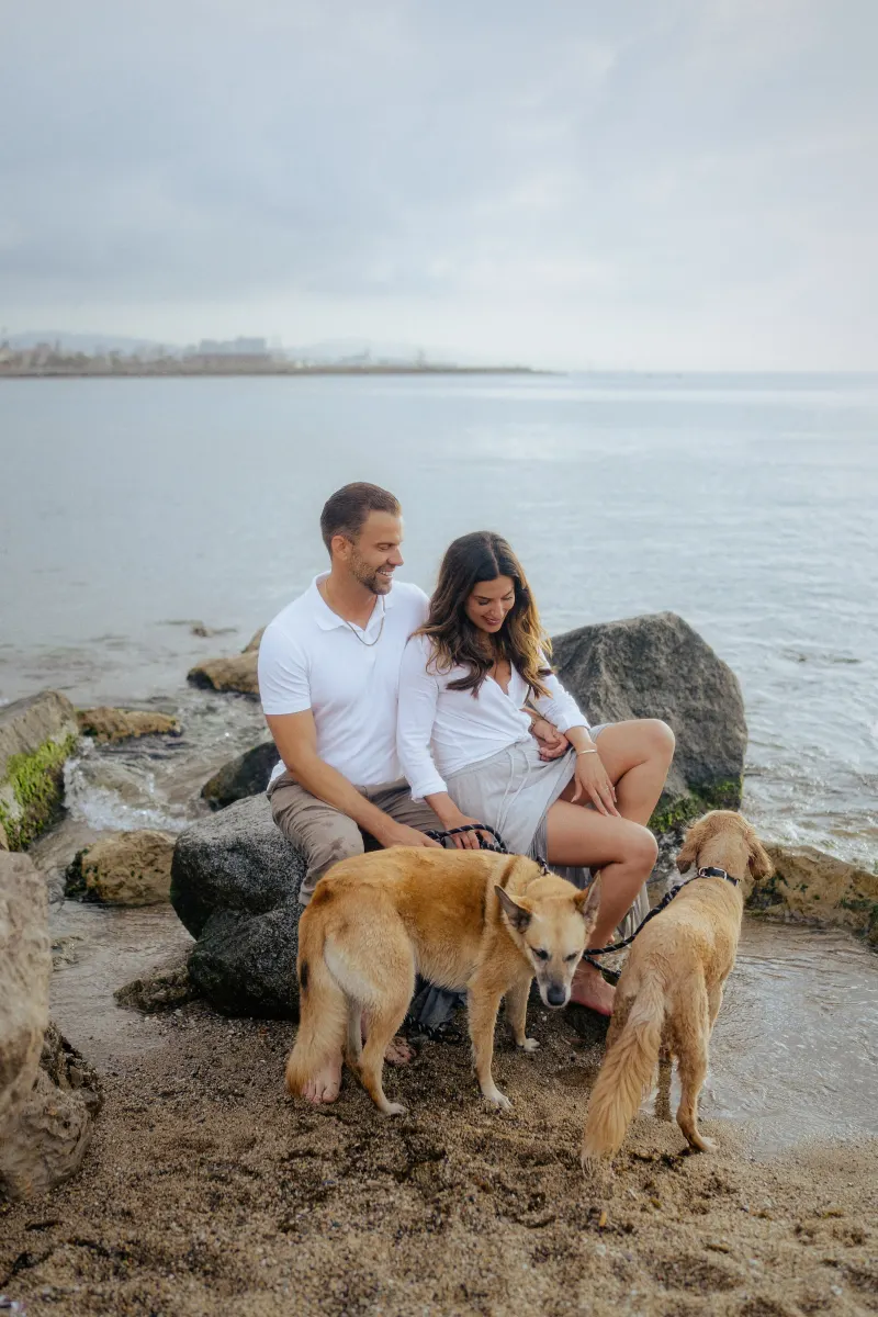 Couple sitting on seaside rocks with their dogs, sharing a relaxed moment during a couples & engagements photoshoot.