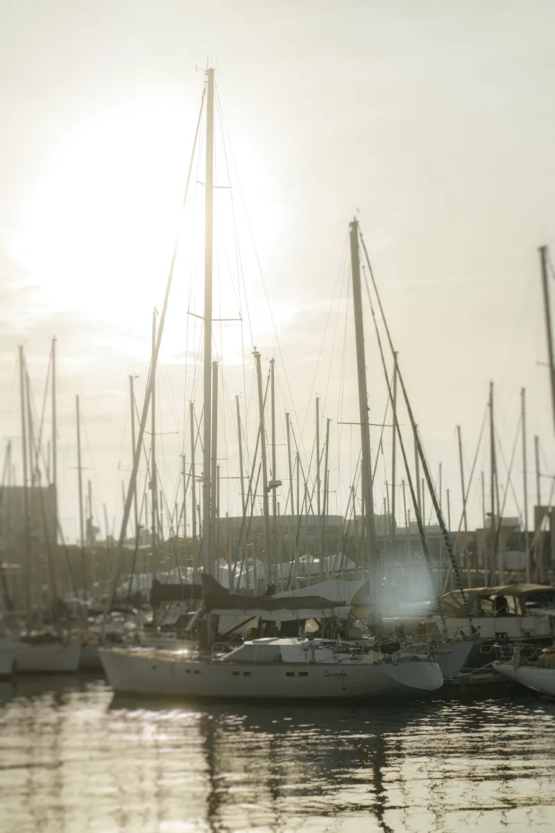 Golden hour light shines over sailboats docked at a marina, creating a dreamy backdrop for couples photoshoots.