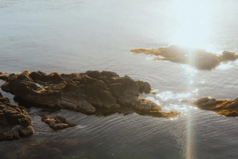 Golden sunlight reflects off rocky shoreline, setting a romantic scene for a seaside surprise proposal photoshoot.