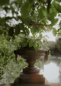 Sunlight filters through lush leaves over a classic stone urn by the lake in Park de la Ciutadella.