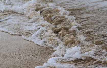 Gentle waves washing over the sandy shore in Barcelona, capturing a romantic setting for couples photoshoots.