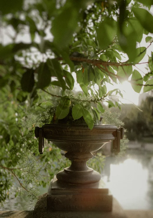Sunlight filters through leaves over a stone urn in Barcelona, setting a romantic scene for a surprise proposal photoshoot.