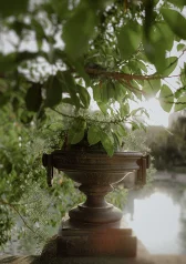 Artistic portrait with greenery during vacation photoshoot in Barcelona